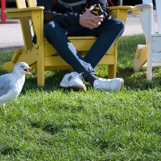 DSC_2162f17b1bbc5dbd2d72