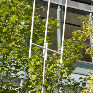 DSC_219091aaa3b23ed215ef